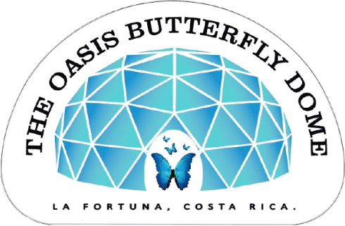 Arenal Oasis Butterfly Garden